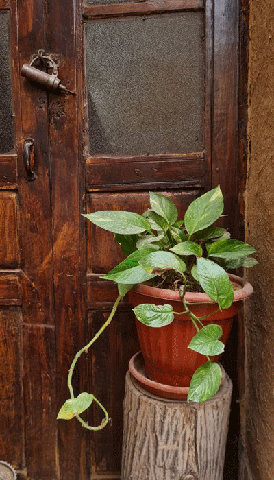 زیبایی هتل سمنان 