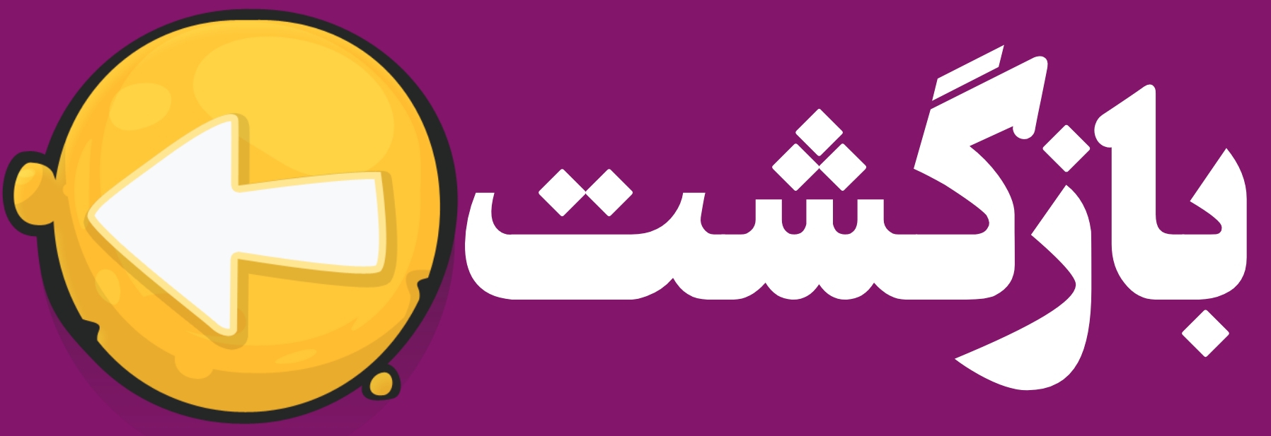 بازگشت به خانه