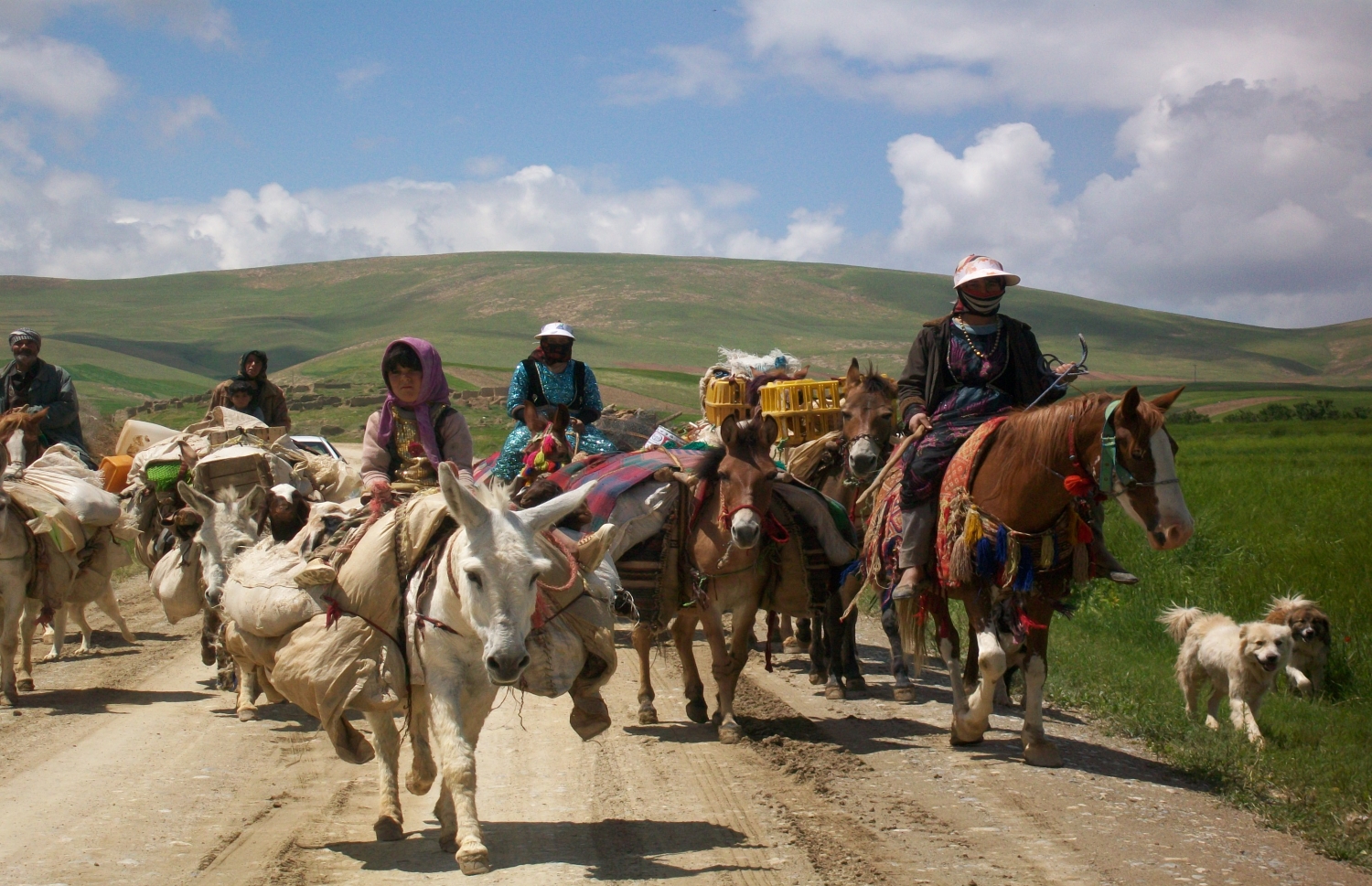 عنوان عکس عنوان عکس