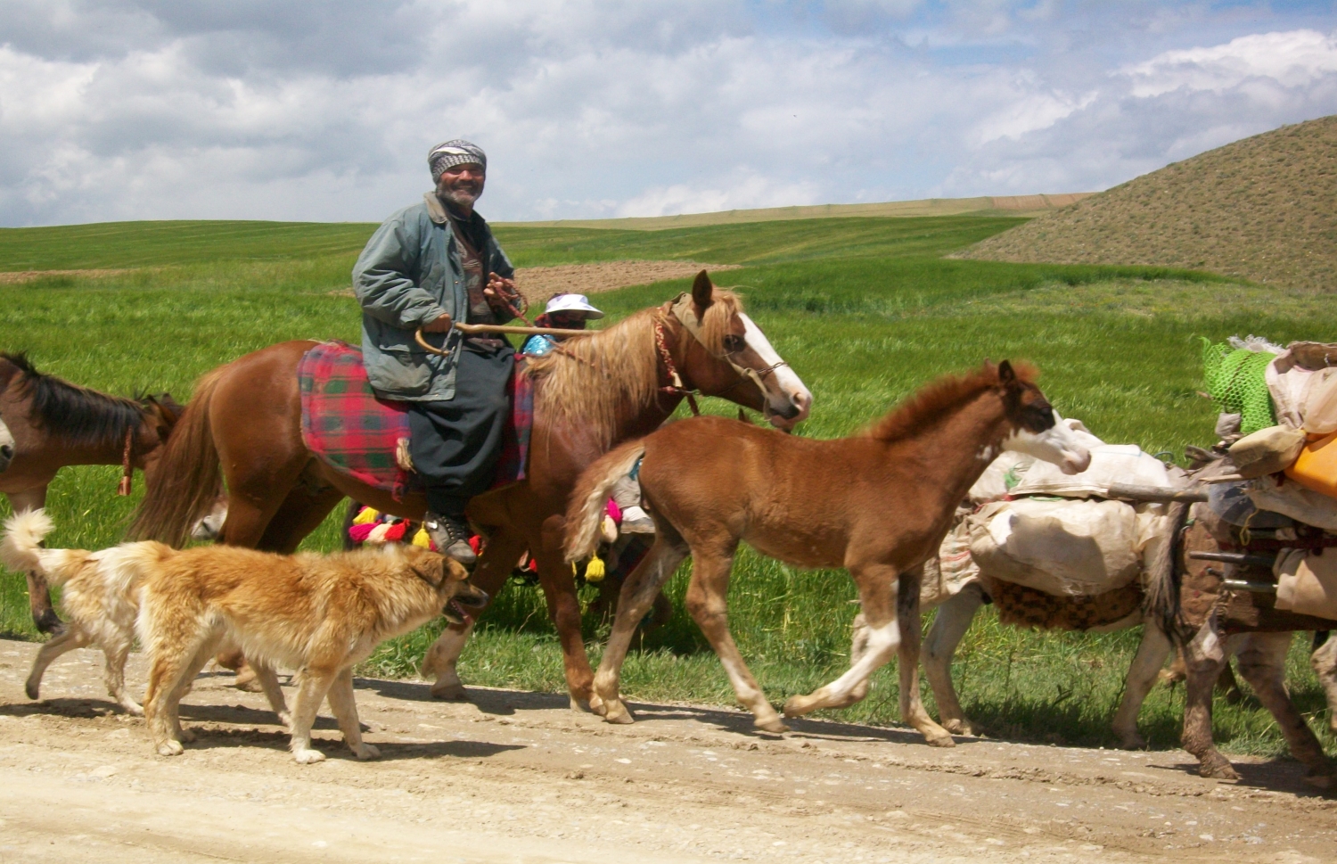 عنوان عکس عنوان عکس