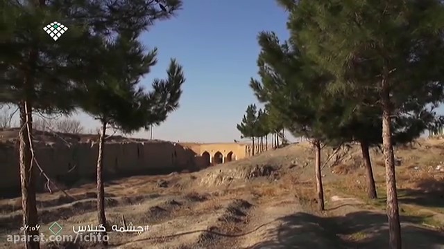 درختان کاج اطراف پل چشمه گیلاس کشفرود