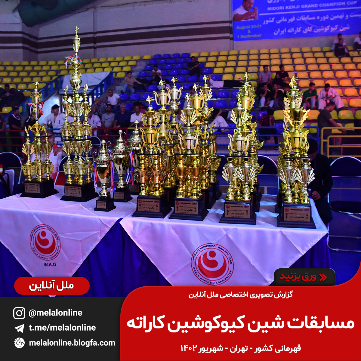 شین کیوکوشین کاراته