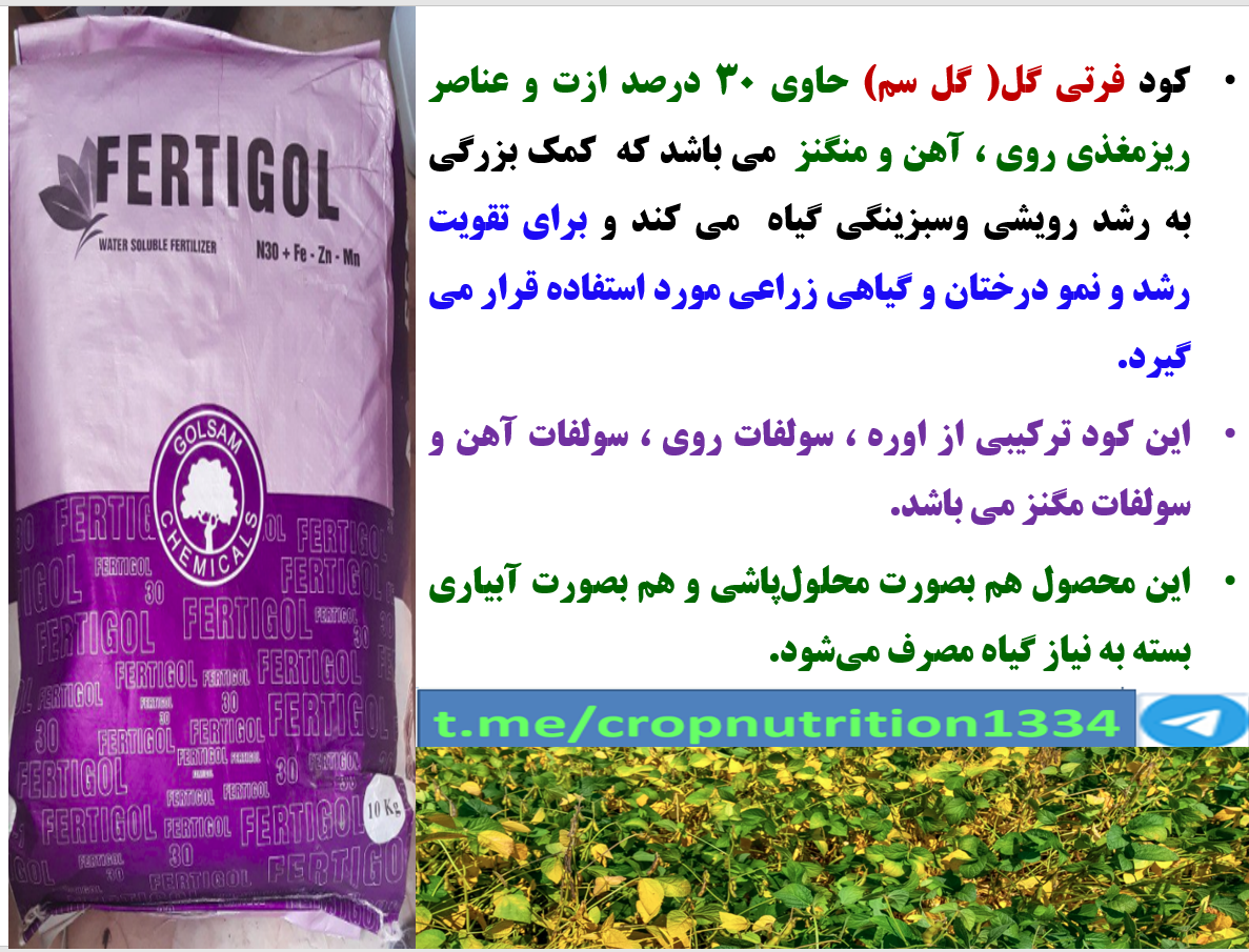 تاثیر کود فرتی گل ۳۰ % ازت و ریزمغذی گل سم روی افزایش تولید سویا – قسمت چهارم