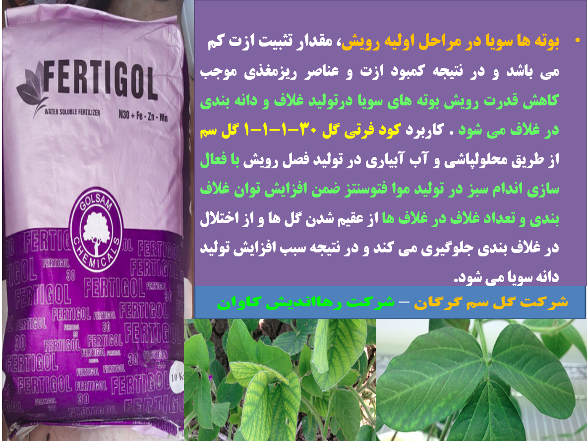 تاثیر کود فرتی گل ۳۰ % ازت و ریزمغذی گل سم روی افزایش تولید سویا – قسمت دوم