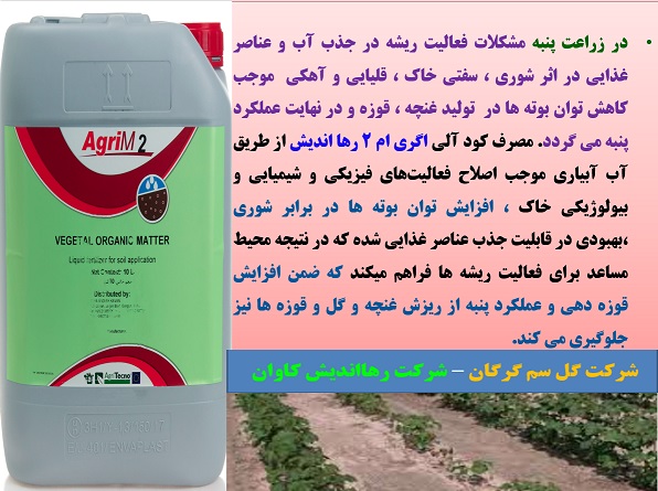 کود آلی اگری ام ۲ رهااندیش برای افزایش تولید در زراعت پنبه – قسمت دوم 3