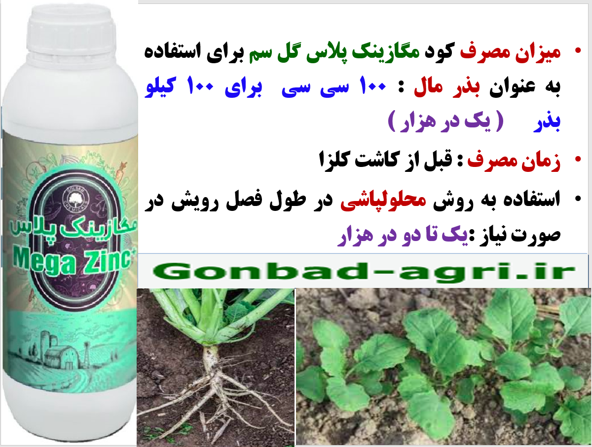 کود مگازینک پلاس گل سم برای بذر مال بذور کلزا – قسمت سوم