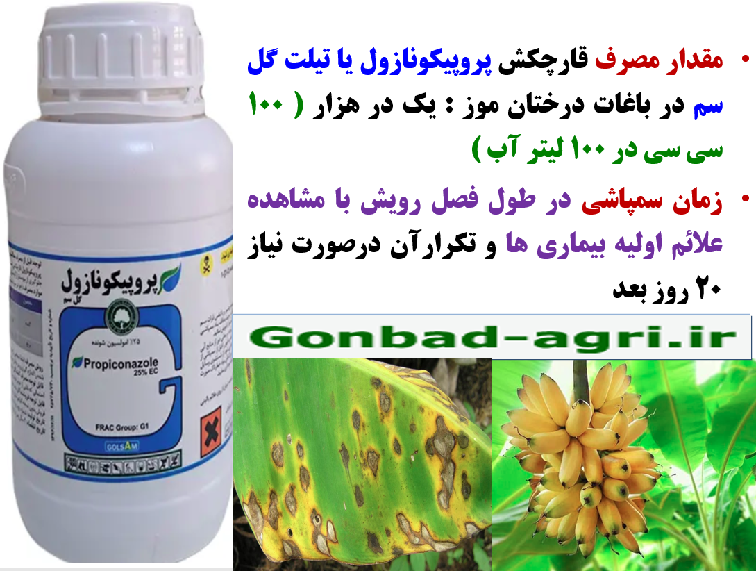 کنترل بیماری های درخت موز با قارچکش پروپیکونازول گل سم – قسمت سوم 3