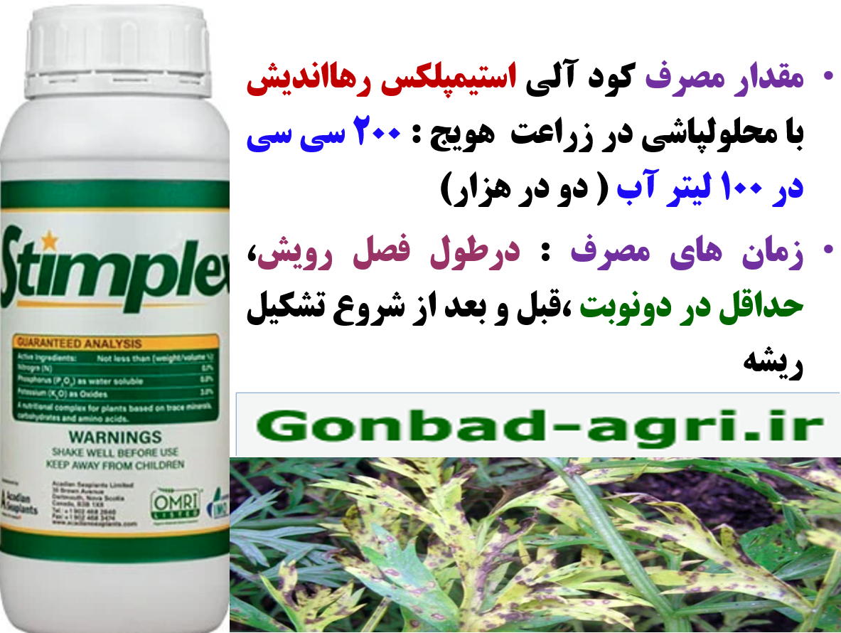 کود آلی استیمپلکس رهااندیش برای افزایش تولید و کیفیت ریشه هویج – قسمت سوم
