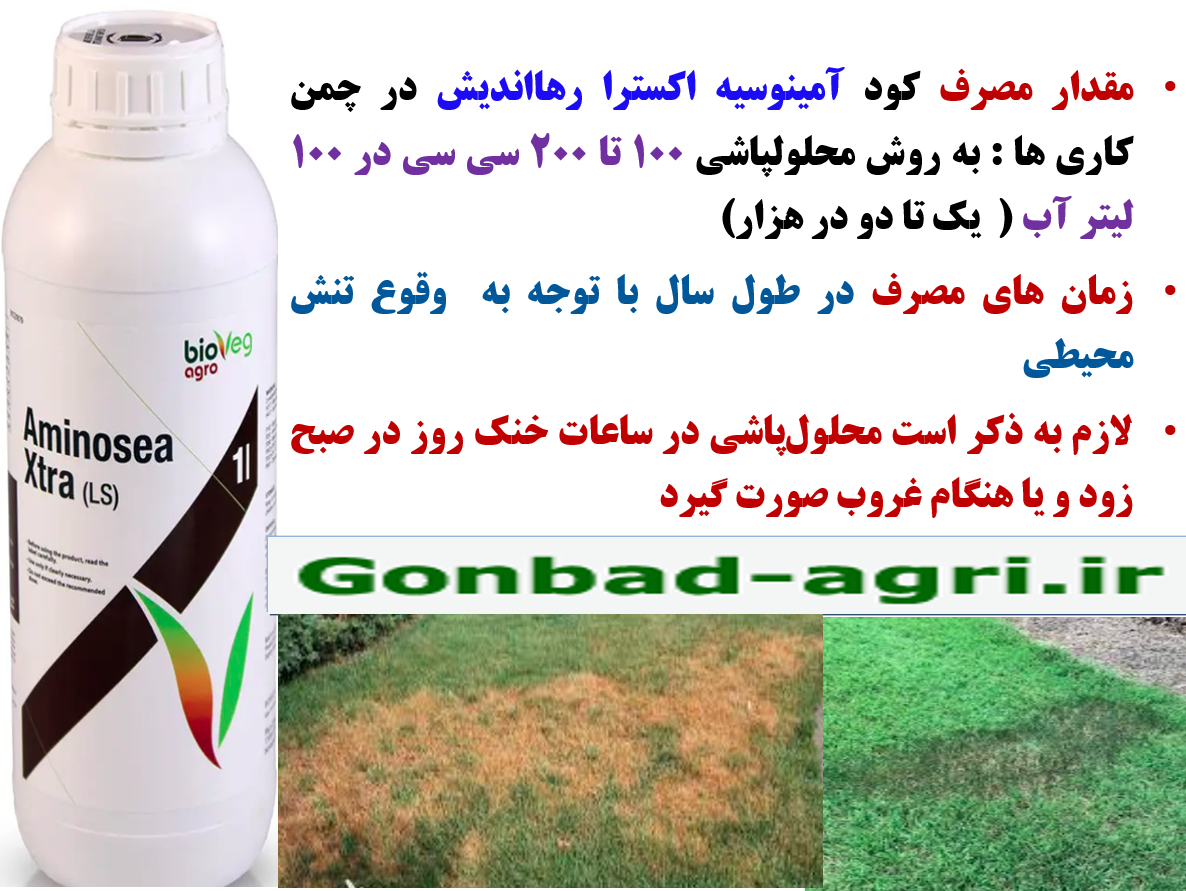 افزایش توان بوته های چمن در برابر تنش های محیطی با کود امینو سیه اکسترا رهااندیش – قسمت سوم