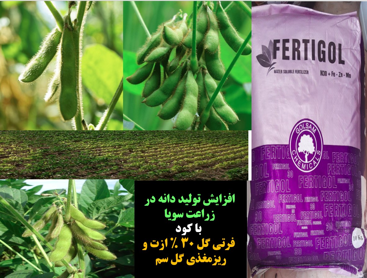 تاثیر کود فرتی گل ۳۰ % ازت و ریزمغذی گل سم روی افزایش تولید سویا – قسمت اول اول