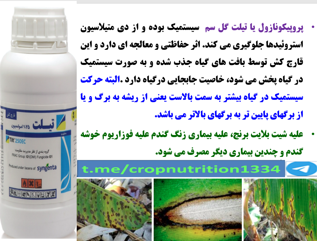 کنترل بیماری های درخت موز با قارچکش پروپیکونازول گل سم – قسمت چهارم 3