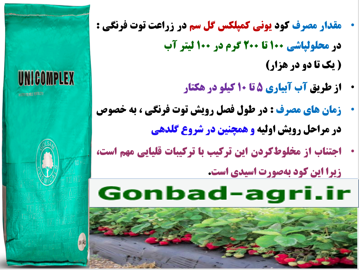 افزایش توان بوته های توت فرنگی در تولید میوه با کود یونی کمپلکس گل سم – قسمت سوم