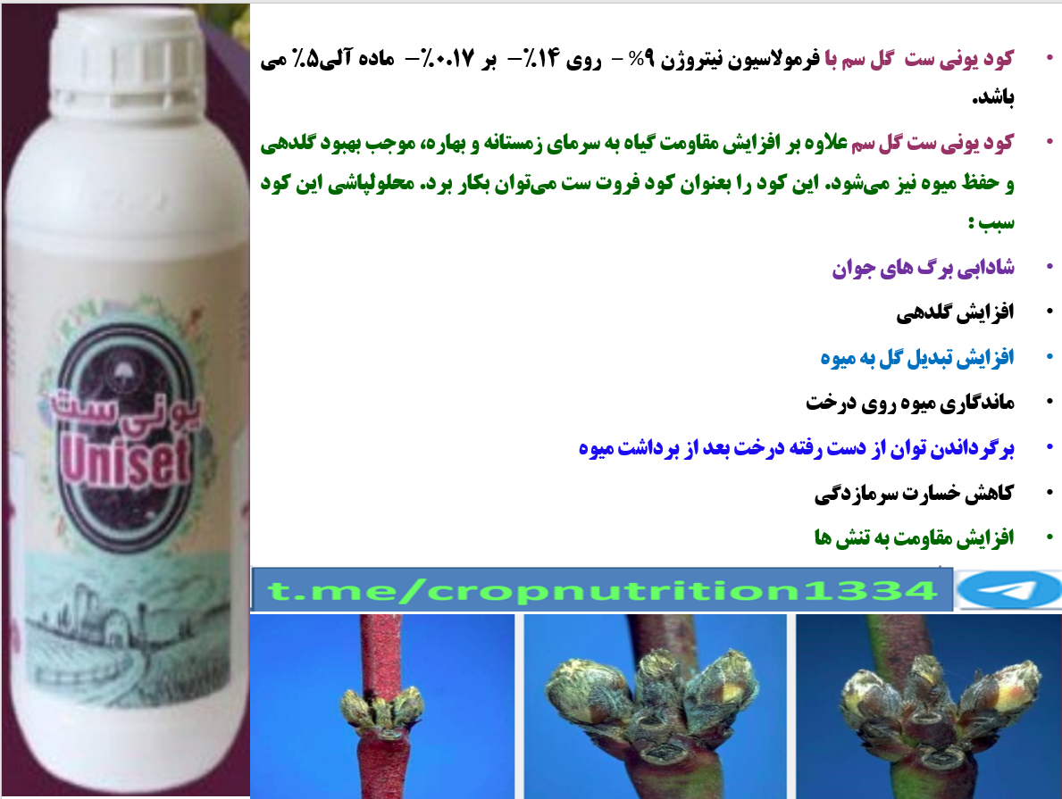 کود یونی ست گل سم به عنوان کود فروت ست درختان میوه هسته دار- قسمت چهارم