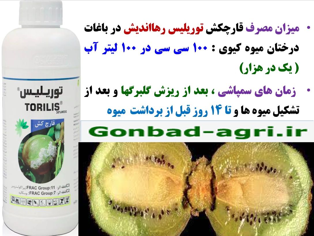 کنترل بیماری پوسیدگی میوه کیوی با قارچکش توریلیس رهااندیش – قسمت سوم