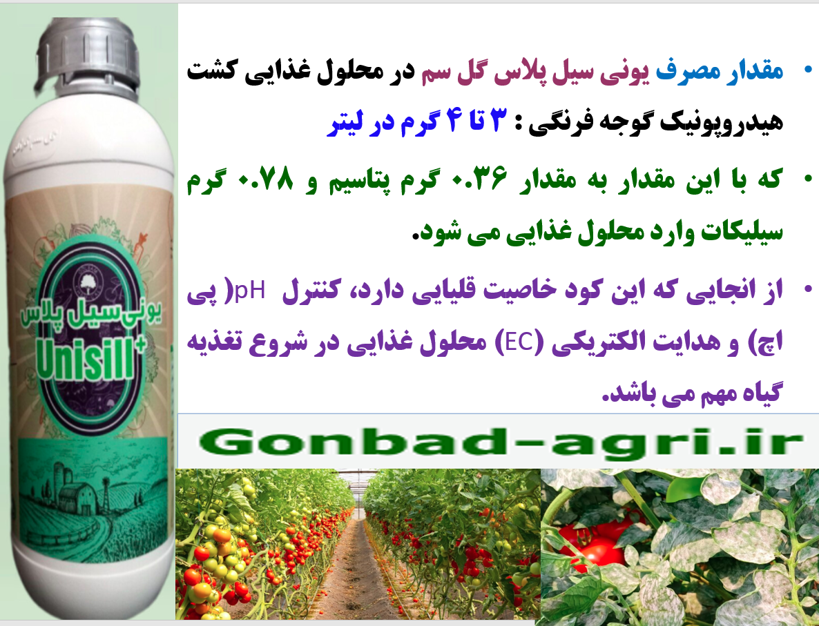 کاربرد کود یونی سیل پلاس گل سم در کشت هیدروپونیک گوجه فرنگی – قسمت سوم