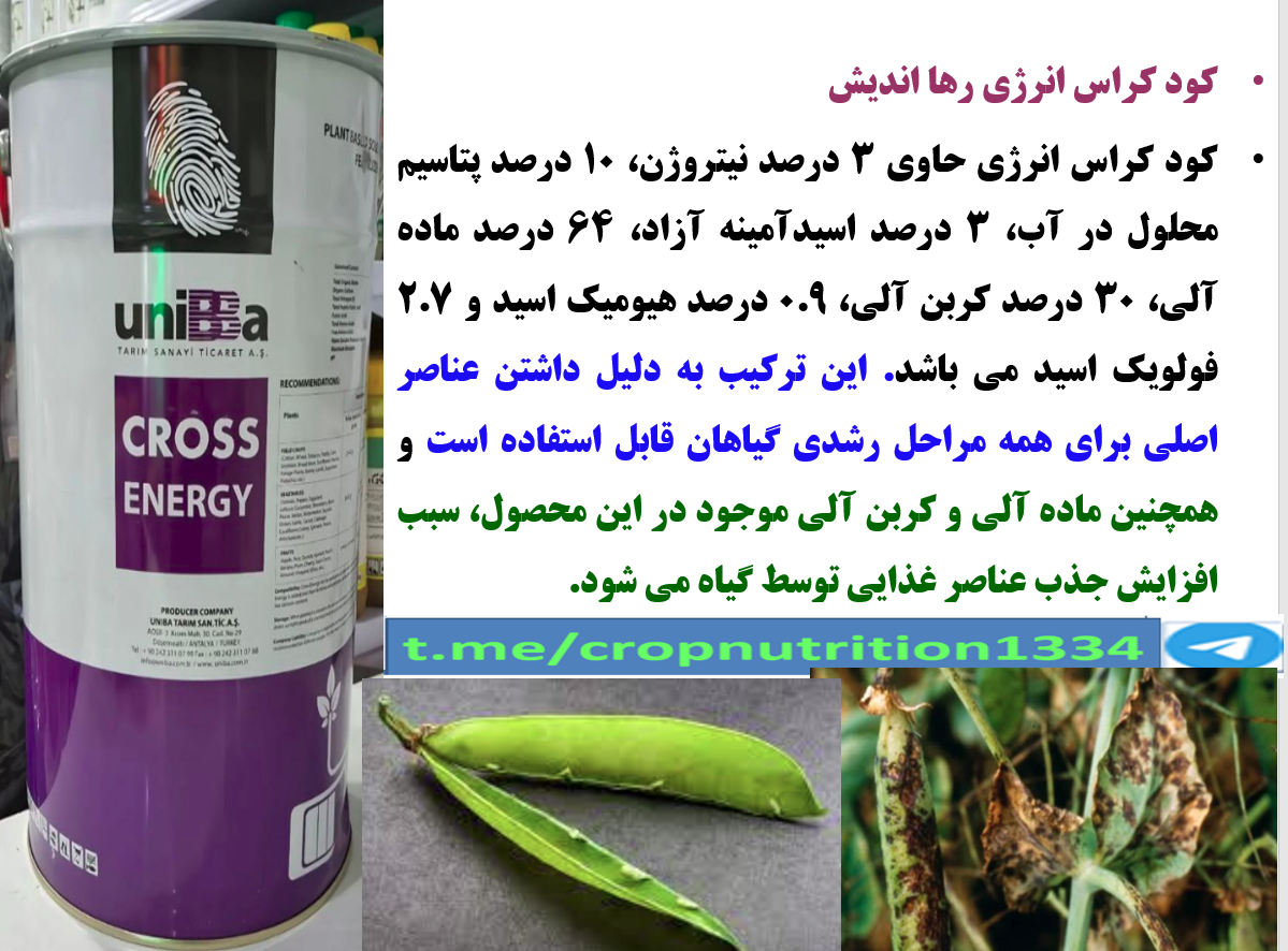 کود آلی کراس انرژی رهااندیش برای افزایش تولید نخود فرنگی  -قسمت چهارم