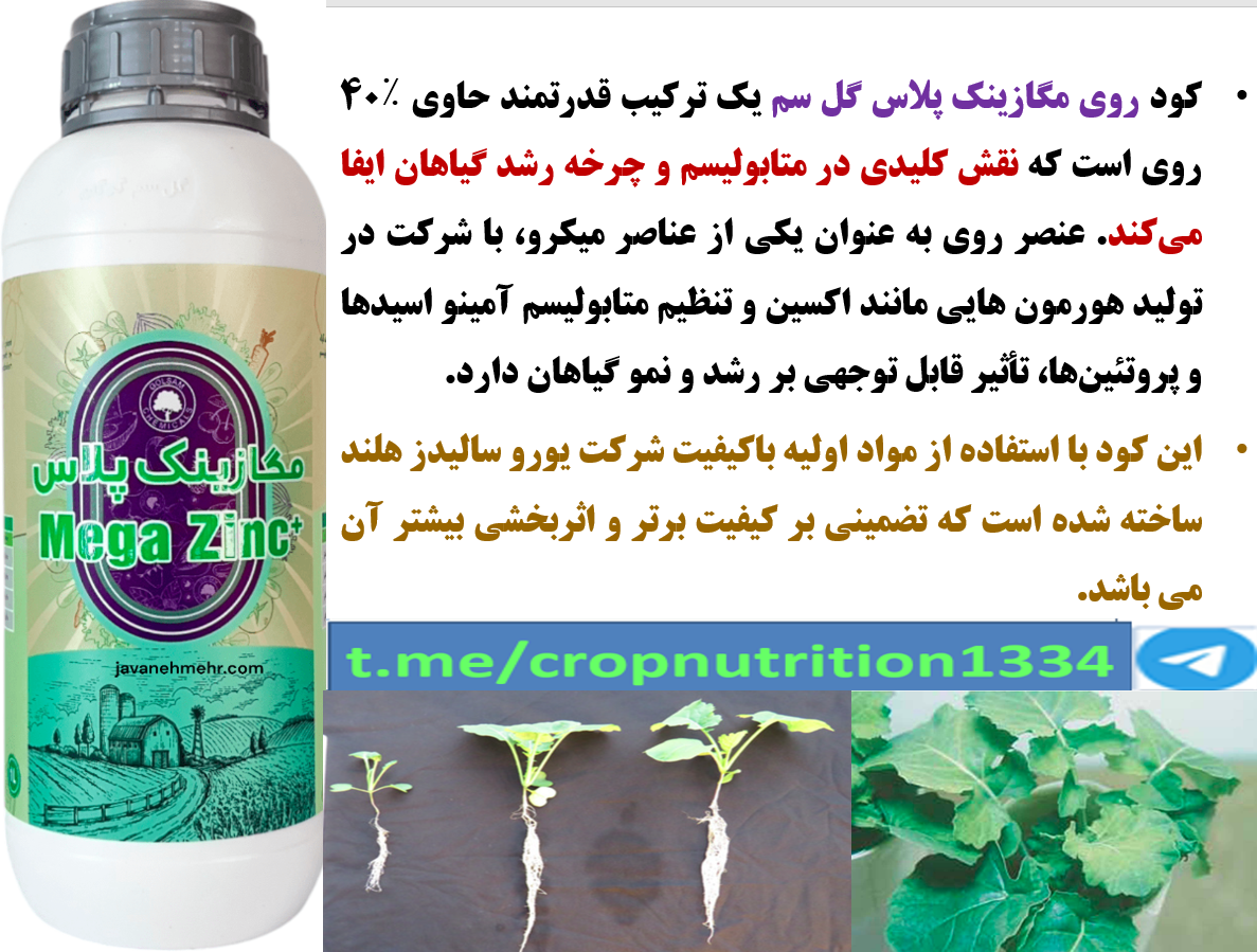 کود مگازینک پلاس گل سم برای بذر مال بذور کلزا – قسمت چهارم