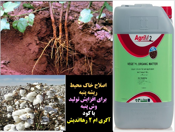 کود آلی اگری ام ۲ رهااندیش برای افزایش تولید در زراعت پنبه – قسمت اول 3