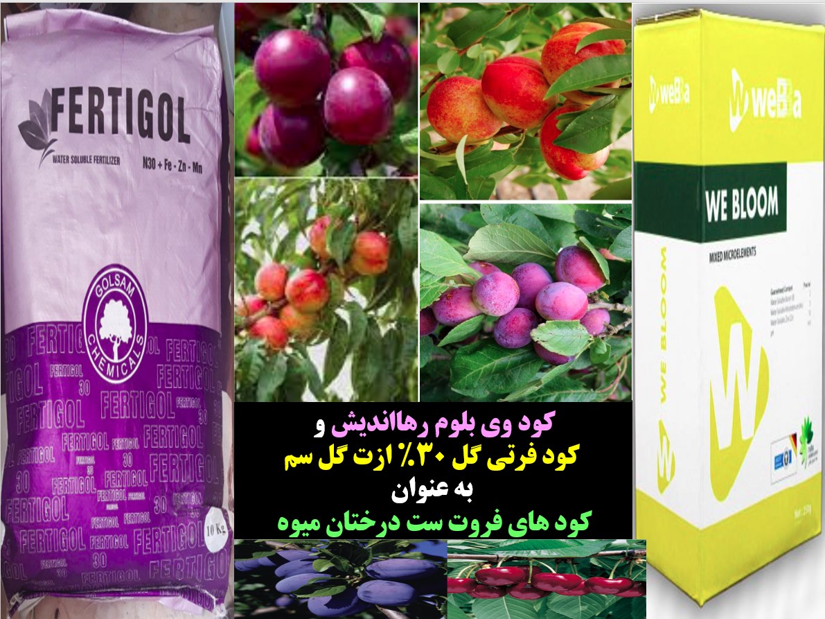 کود وی بلوم رهااندیش و همراه با کود فرتی گل ۳۰% ازت کود کامل برای فروت ست – قسمت اول