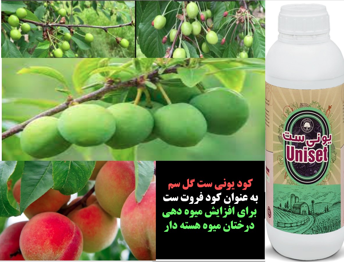 کود یونی ست گل سم به عنوان کود فروت ست درختان میوه هسته دار- قسمت اول