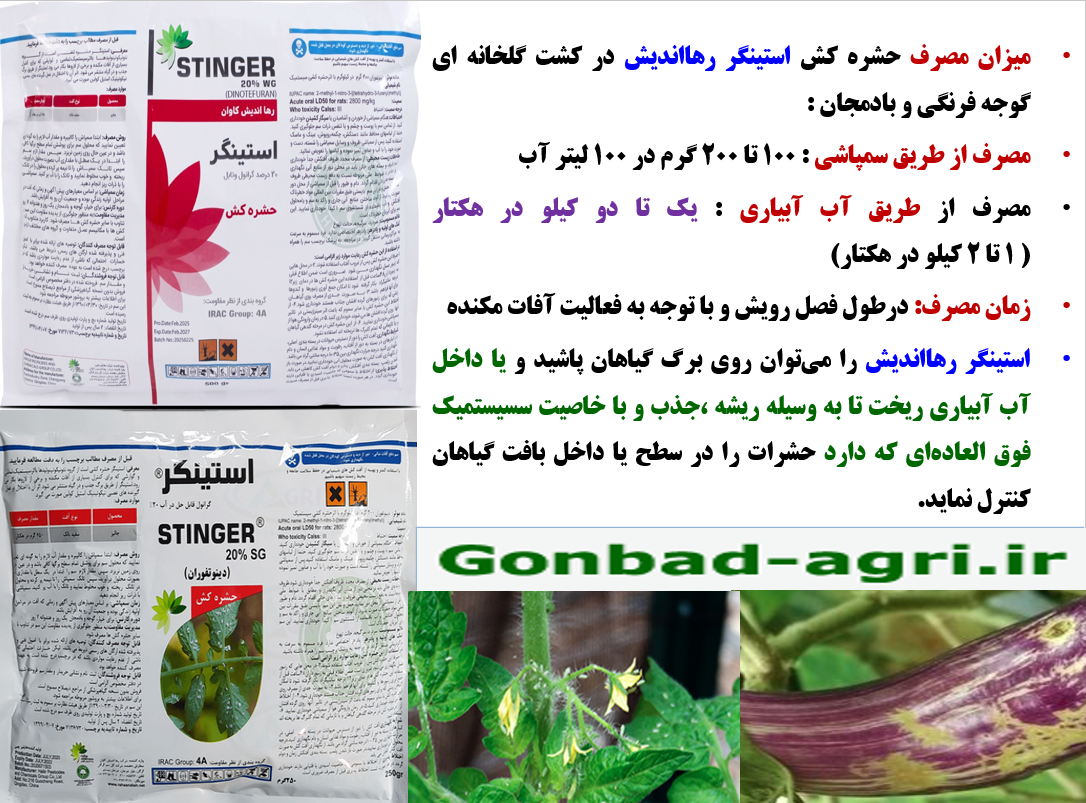 حشره کش استینگر رهااندیش برای کنترل آفات مکنده گوجه فرنگی در گلخانه- قسمت سوم