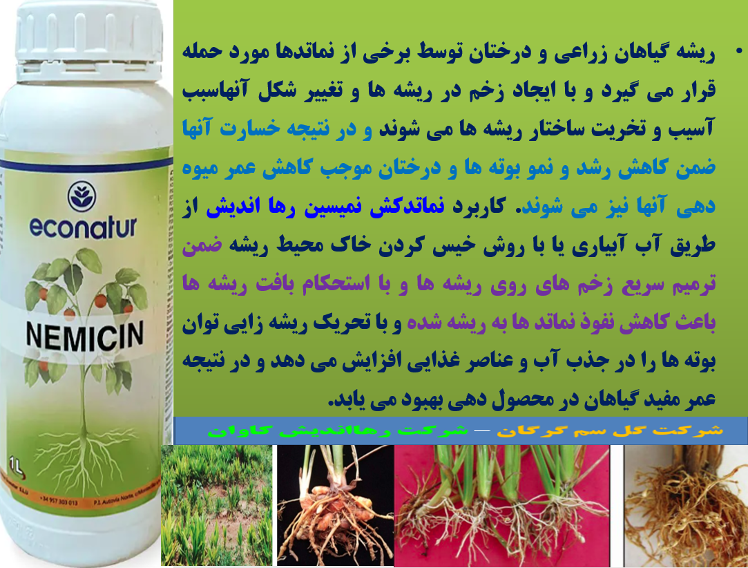 کاربرد نماتدکش نمیسین برای کنترل نماتدهای ریشه گیاهان – قسمت دوم