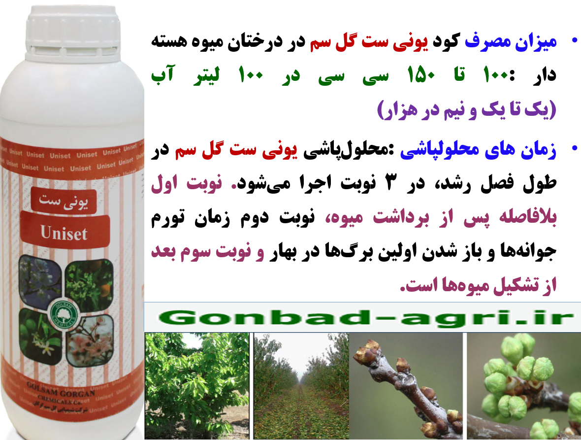 کود یونی ست گل سم به عنوان کود فروت ست درختان میوه هسته دار- قسمت سوم