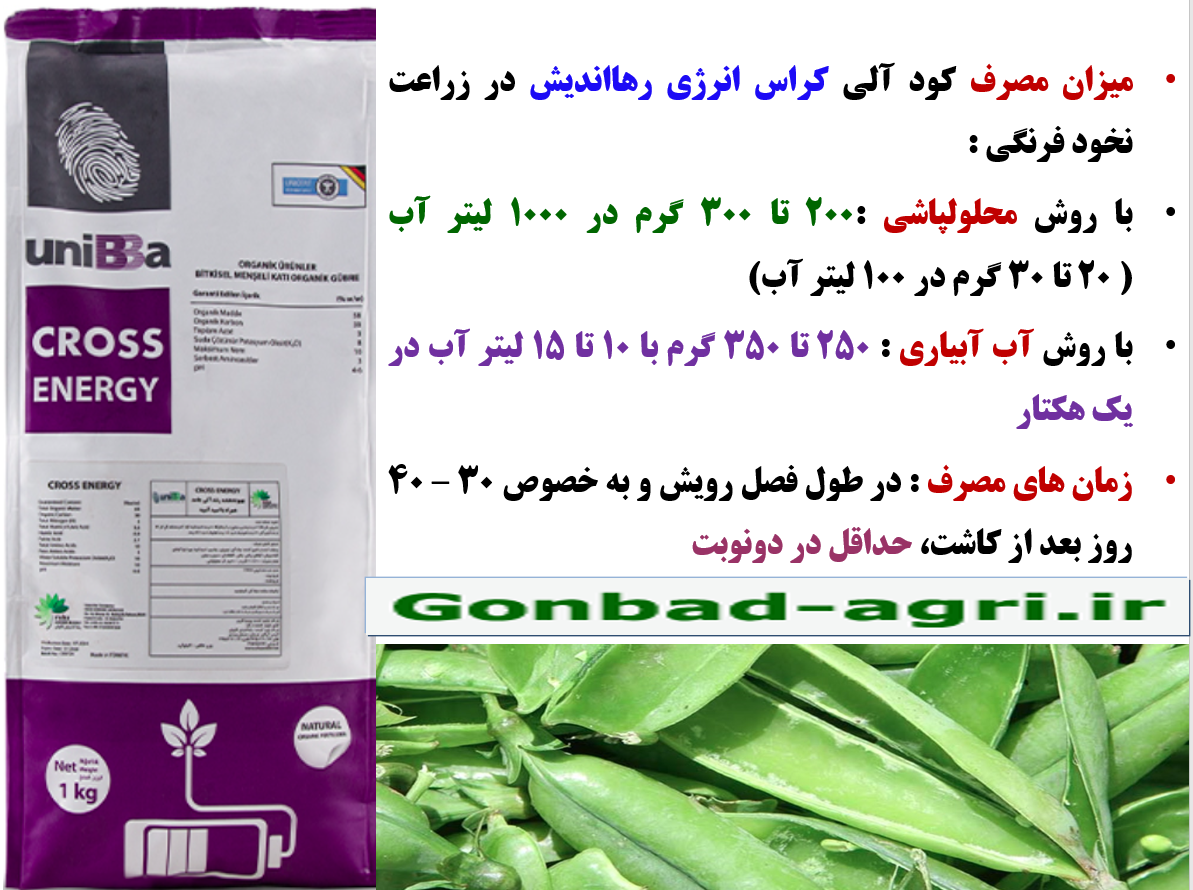 کود آلی کراس انرژی رهااندیش برای افزایش تولید نخود فرنگی -قسمت -سوم