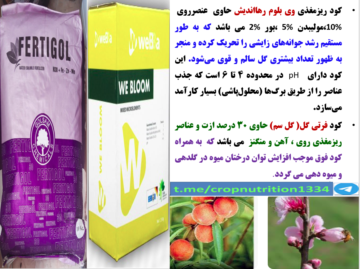 کود وی بلوم رهااندیش و همراه با کود فرتی گل ۳۰% ازت کود کامل برای فروت ست – قسمت چهارم