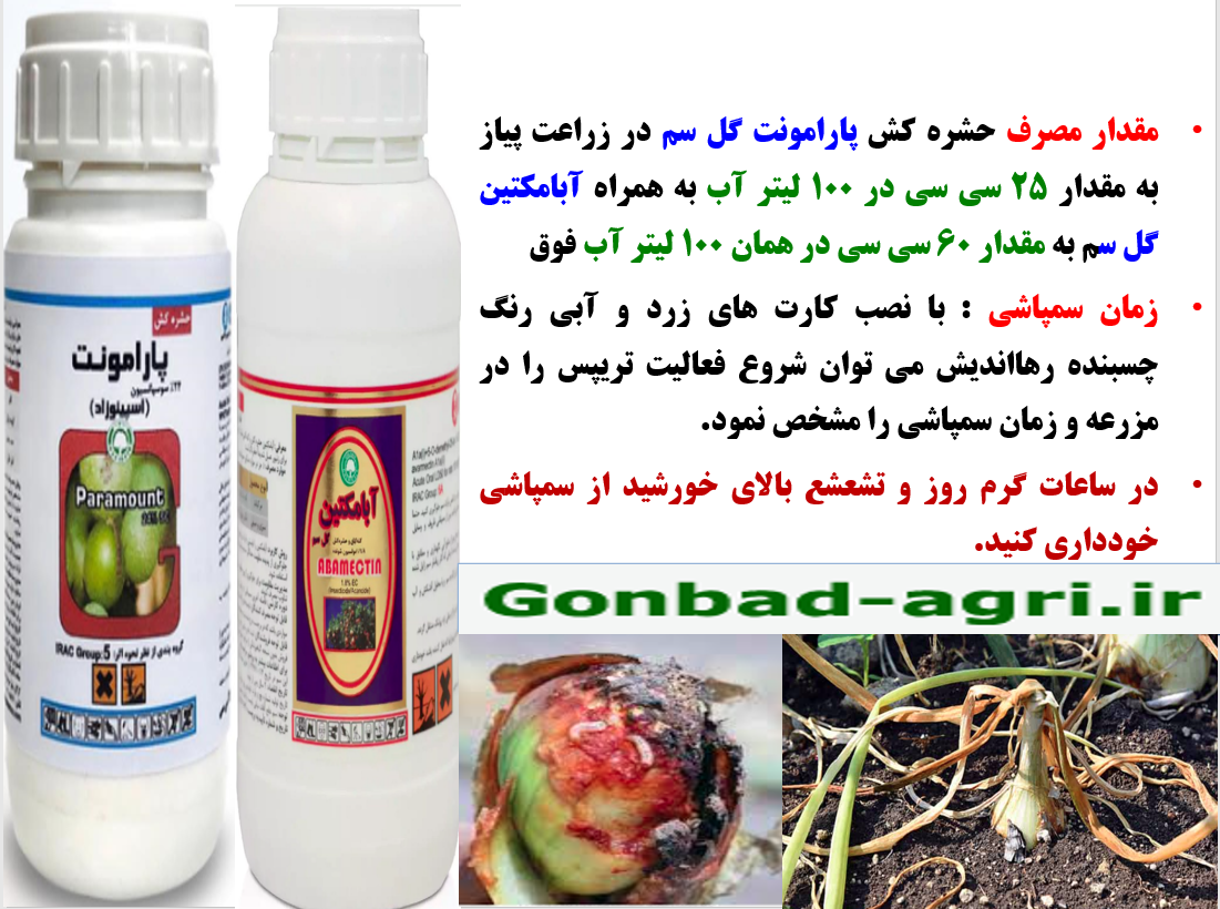 کنترل آفات پیاز به خصوص تریپس پیاز با سموم پارامونت و ابامکتین گل سم – قسمت سوم