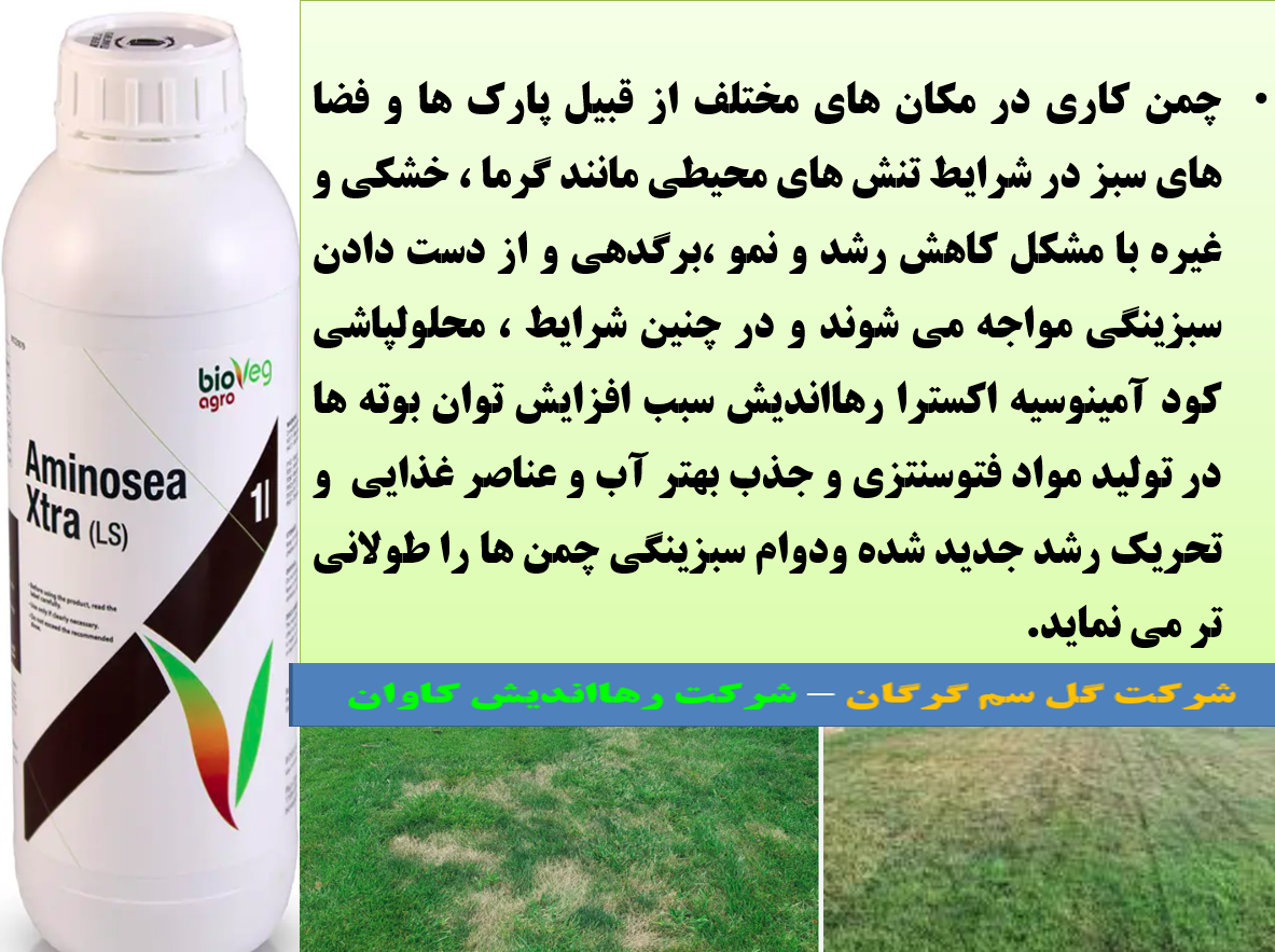 افزایش توان بوته های چمن در برابر تنش های محیطی با کود امینو سیه اکسترا رهااندیش – قسمت دوم