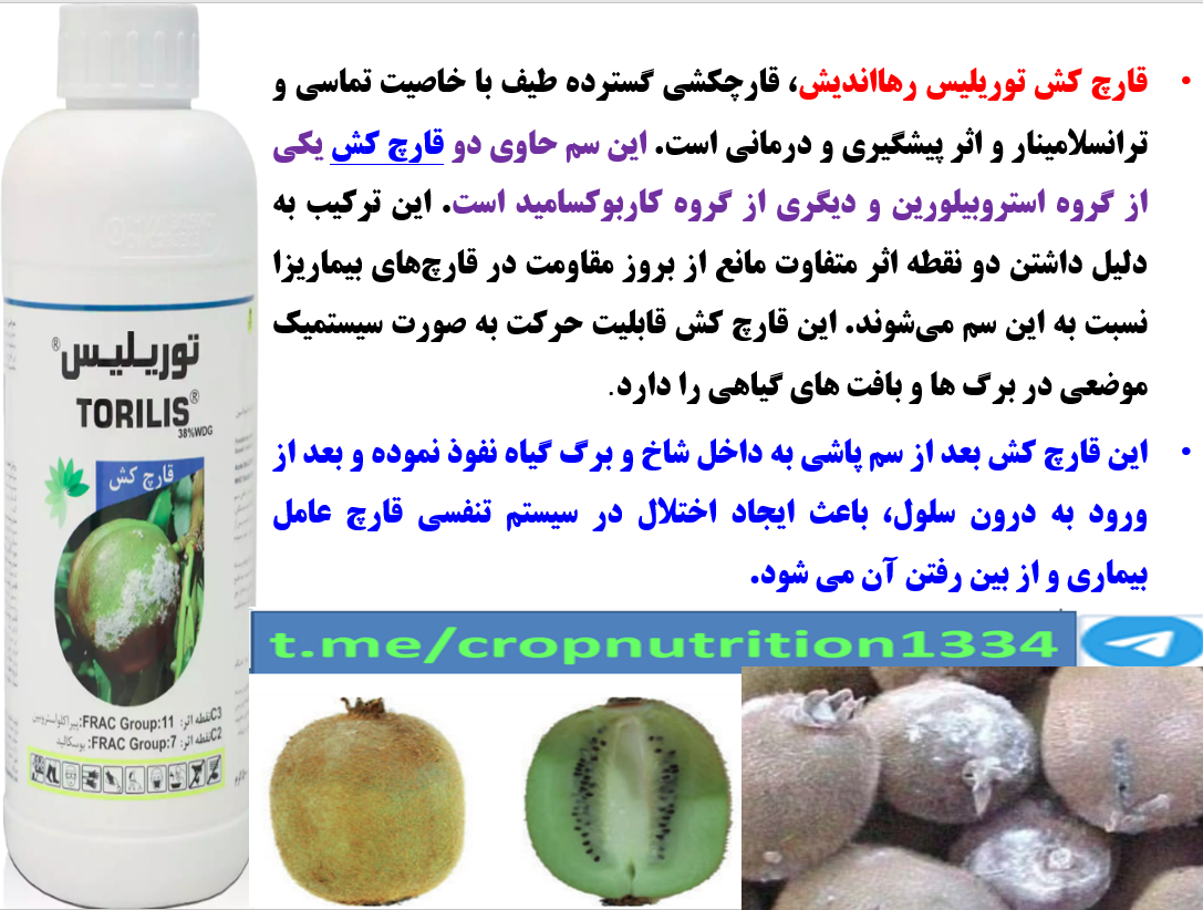 کنترل بیماری پوسیدگی میوه کیوی با قارچکش توریلیس رهااندیش – قسمت چهارم