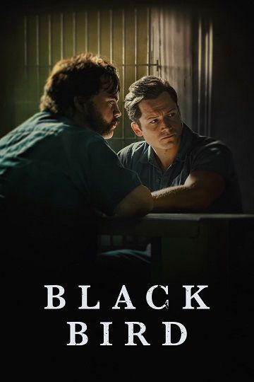دانلود سریال Black Bird