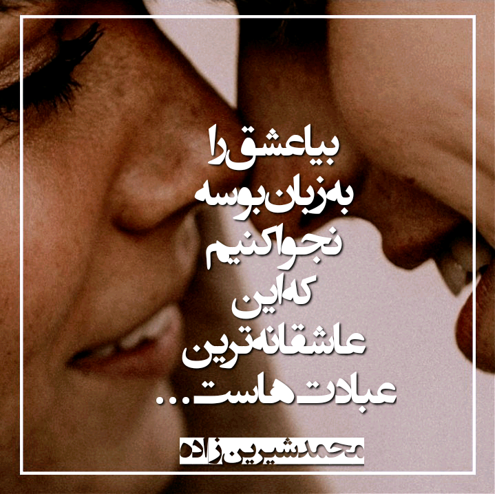 quote_1701547354829_sssq.png