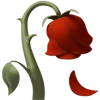 [تصویر: rose_jb2y.png]