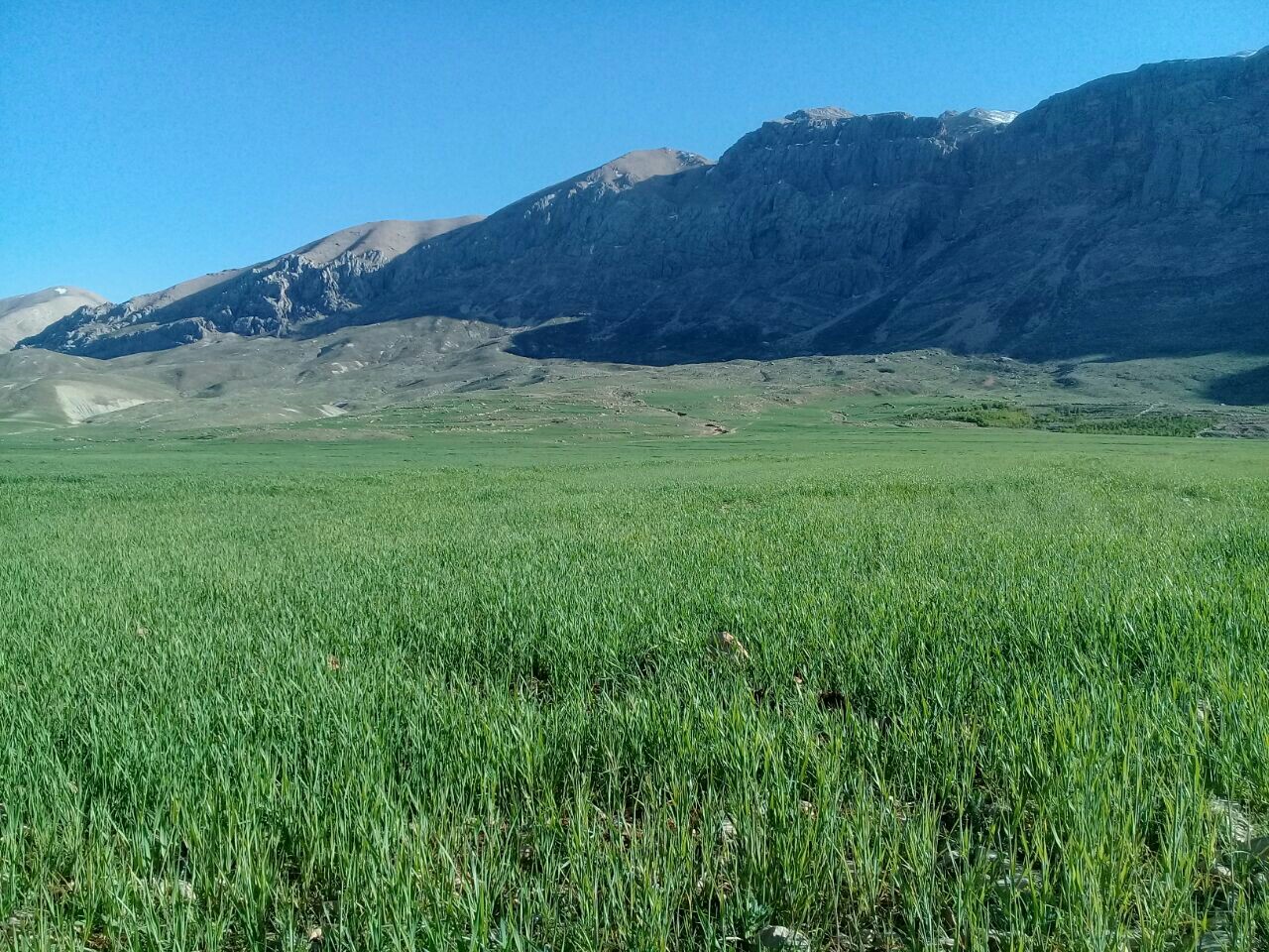 تصاویری از طبیعت زیبای سلم