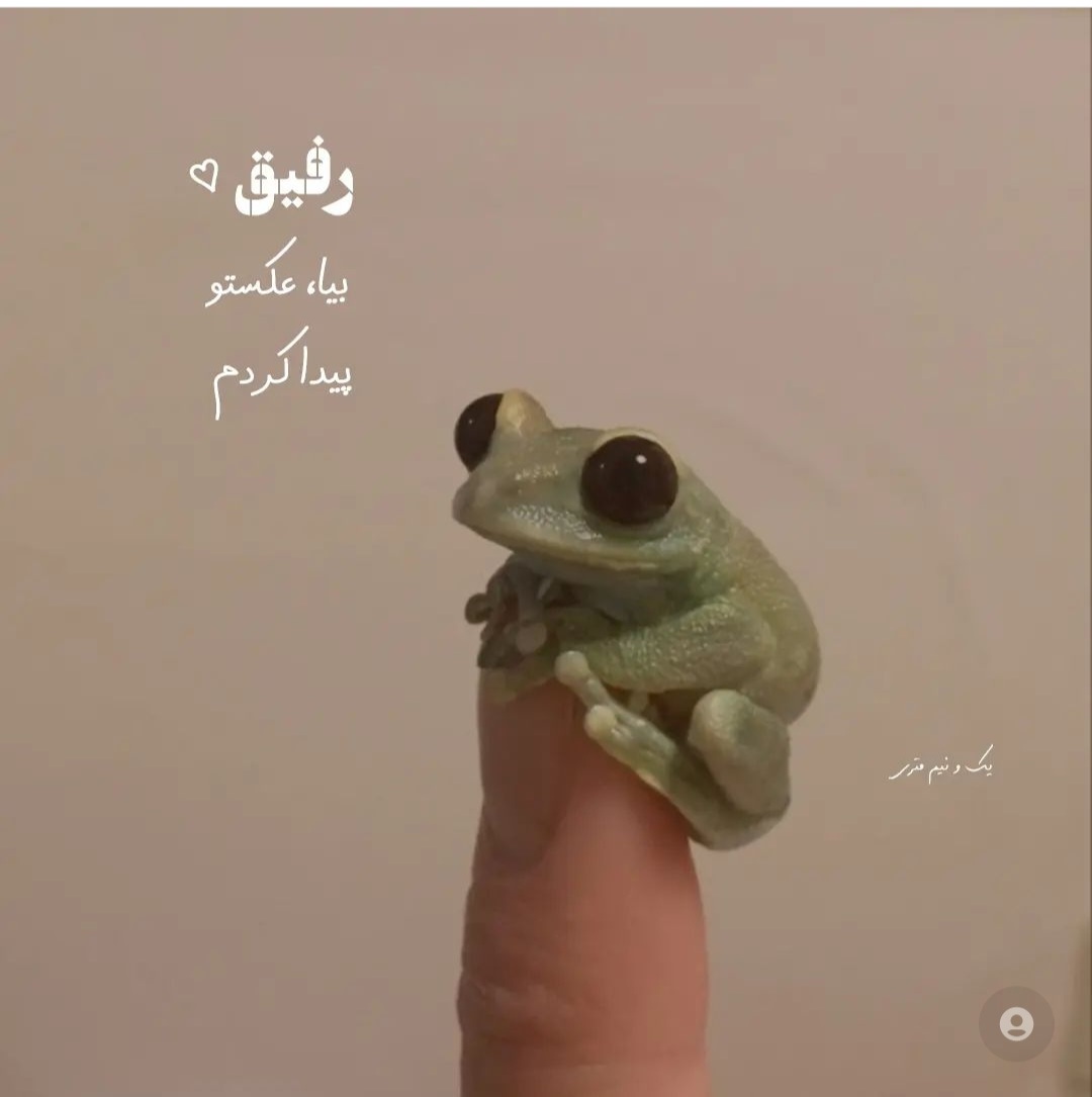 spacer.png