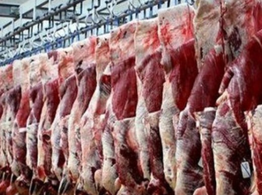 افزایش ۱۰ هزار تومانی نرخ گوشت گوسفندی/ ۸۰ درصد گوشت وارداتی صرف تولید فرآورده می‌شود/ بزودی فروش اینترنتی راه اندازی می‌شود