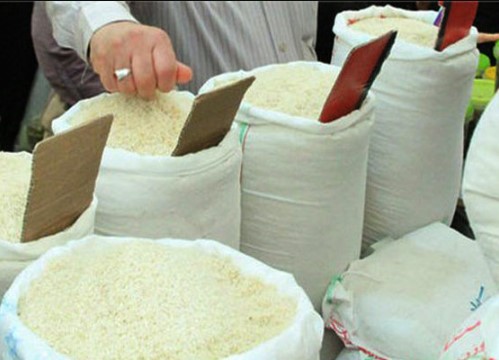 دپوی برنج در شالیکوبی‌های استان های شمالی/ تنزل نرخ برنج توسط جهادکشاورزی خیانت به کشاورزان است