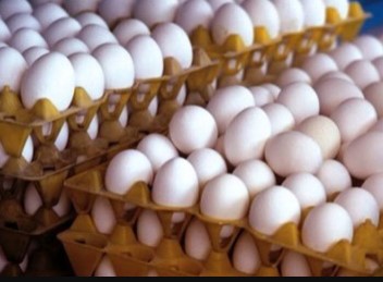 عرضه هر عدد تخم مرغ فله بالاتر از ۳ هزار و ۳۰۰ تومان گرانفروشی است