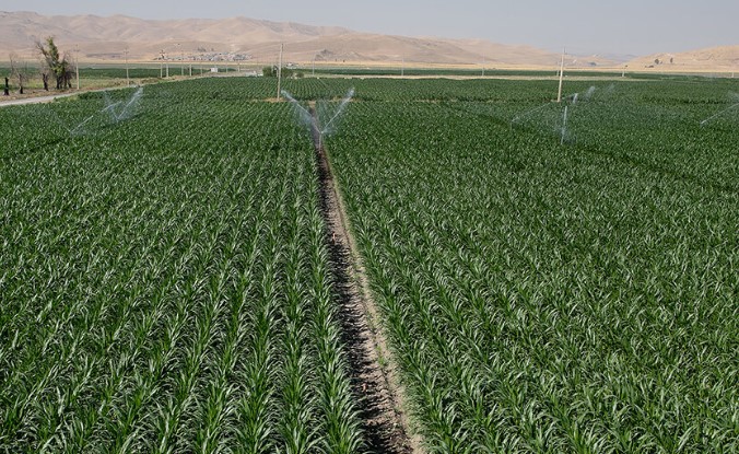 ۲۲۷ هزار هکتار از زمین‌های کشاورزی غرب کشور به شبکه آبیاری تجهیز می‌شود
