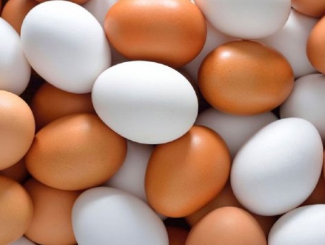 تولید تخم مرغ ۵ درصد افزایش می‌یابد
