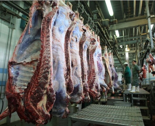 افت ۳۰ تا ۵۰ هزار تومانی قیمت گوشت قرمز وارداتی و تولید داخل