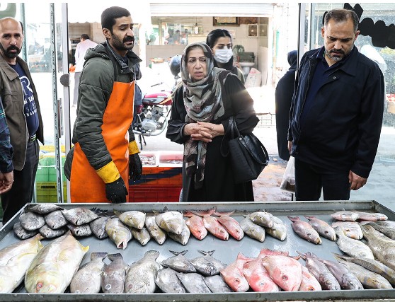 عدم تناسب عرضه و تقاضا، علت افزایش قیمت ماهی/ نظارت‌ها در بازار تشدید شود