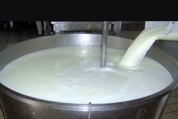 تولید شیرخام به ۱۱ میلیون و ۷۰۰ هزارتن می‌رسد