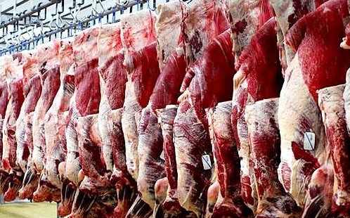 کمتر از سنوات گذشته گوشت قرمز وارد کشور شده است/رکورد جوجه ریزی به ۱۴۴ میلیون قطعه در ماه رسید