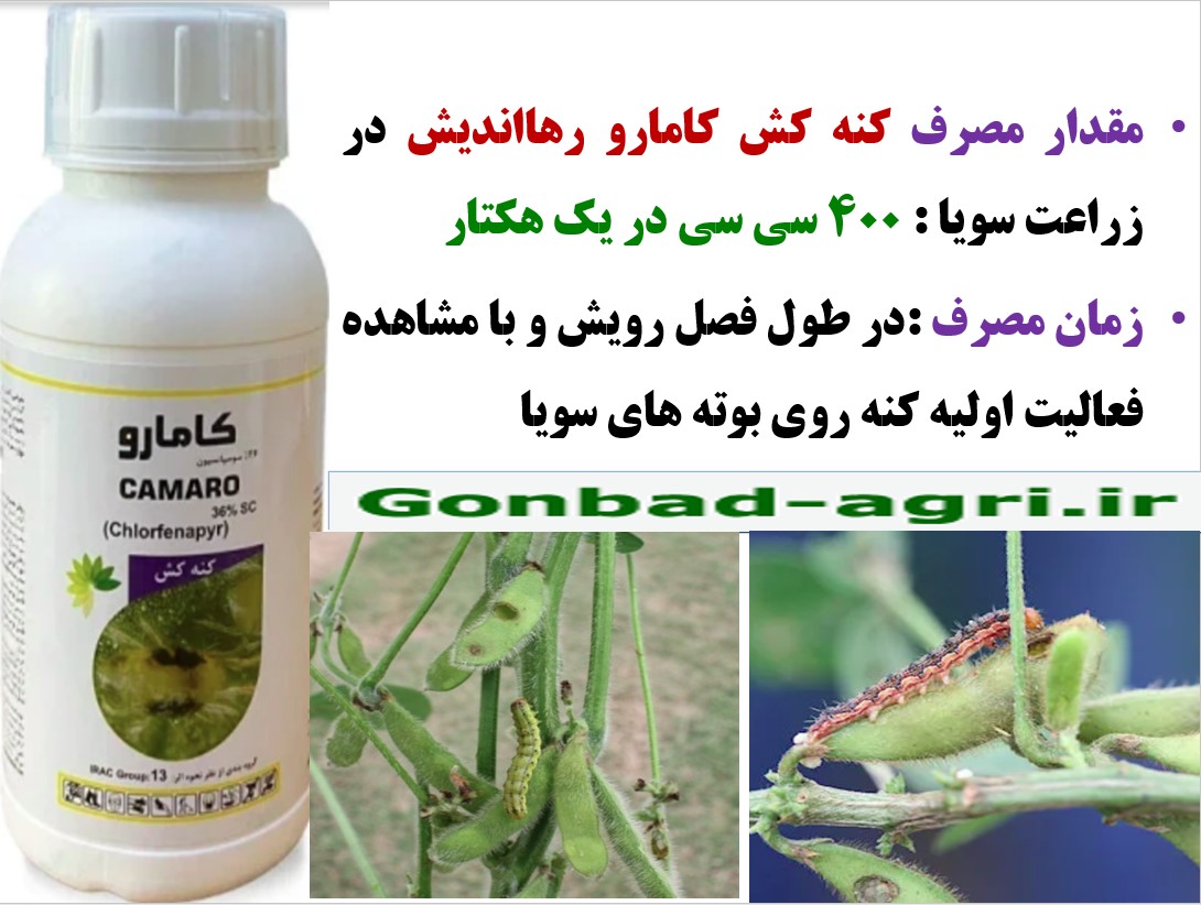 کنترل کنه و سایر آفات زراعت سویا با کنه کش کامارو -رهااندیش – قسمت سوم