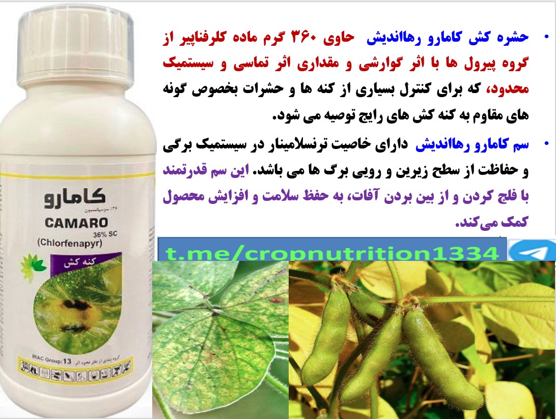 کنترل کنه و سایر آفات زراعت سویا با کنه کش کامارو -رهااندیش – قسمت چهارم
