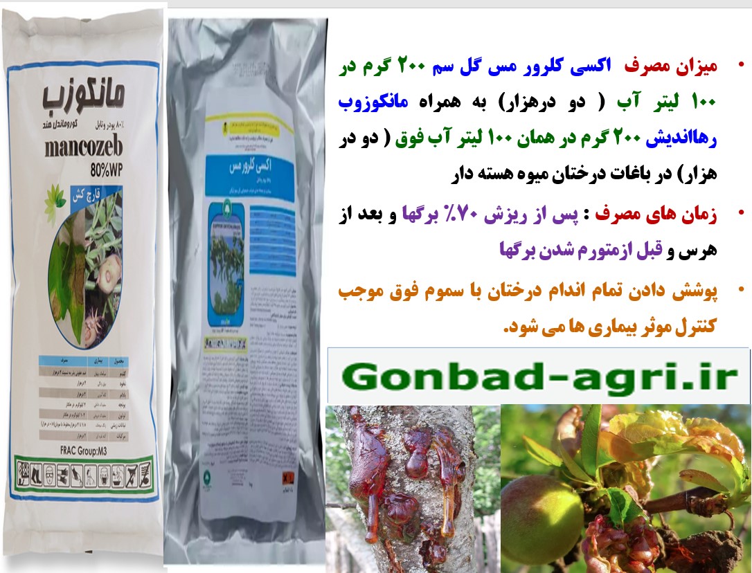 محافظت درختان میوه هسته دار در برابر بیماری های قارچی و باکتری – قسمت سوم