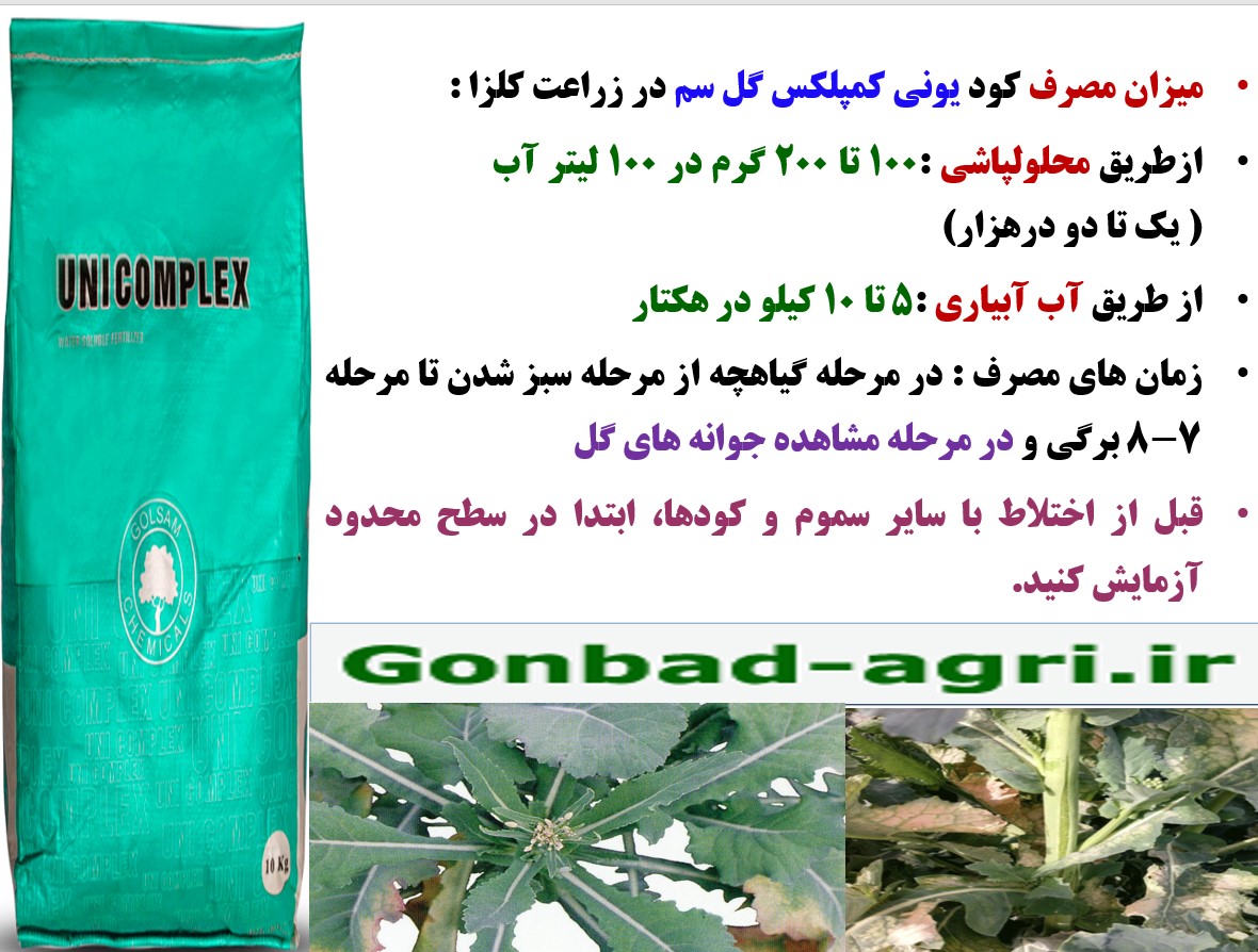 مصرف کود یونی کمپلکس گل سم برای افزایش توان بوته های کلزا – قسمت سوم